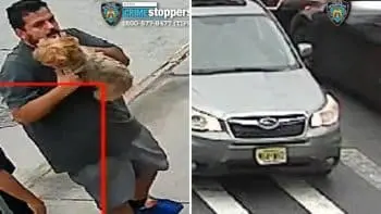 Yorkie de 10 ani răpită din Queens: familia caută disperată